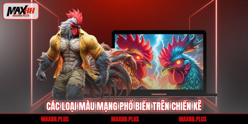 Các loại màu mạng phổ biến trên chiến kê