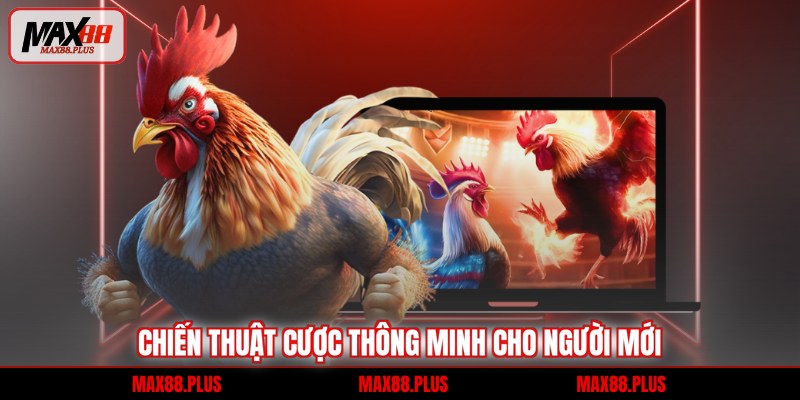 Chiến thuật cược thông minh cho người mới