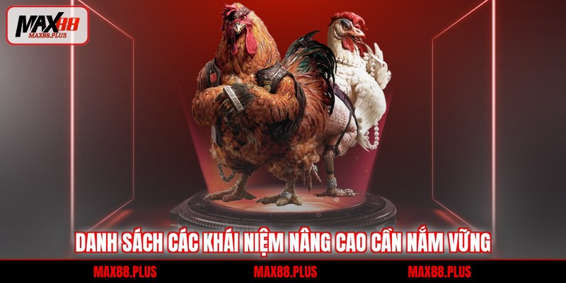 Thuật Ngữ Đá Gà - Giải Mã Từ A Đến Z Cho Tân Thủ 2 Danh sách các khái niệm nâng cao cần nắm vững