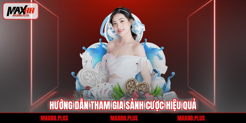 Hướng dẫn tham gia sảnh cược hiệu quả