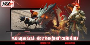 Màu mạng gà đá