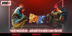 Thuật ngữ đá gà