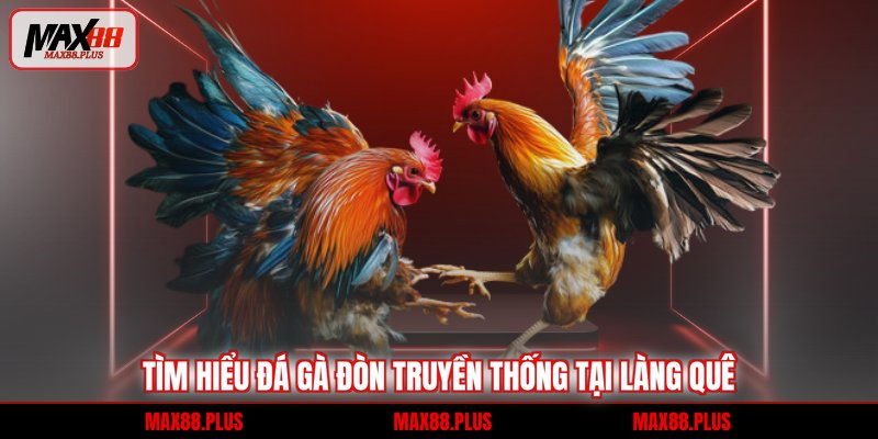 Tìm hiểu đá gà đòn truyền thống tại làng quê