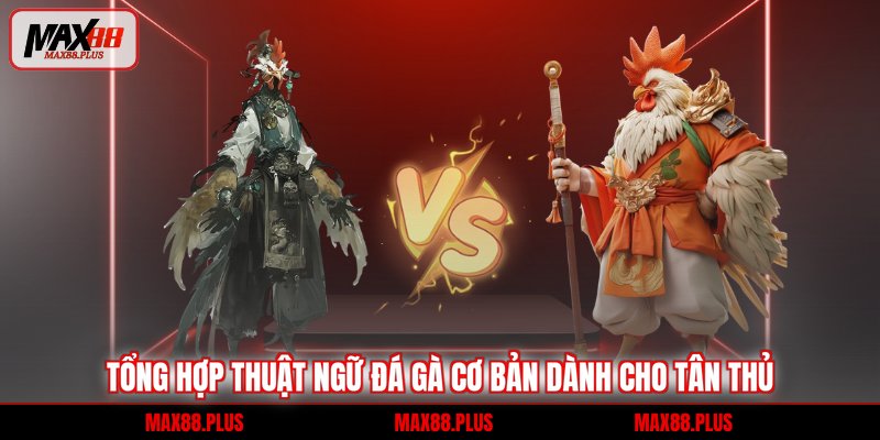 Thuật Ngữ Đá Gà - Giải Mã Từ A Đến Z Cho Tân Thủ 1 Tổng hợp thuật ngữ đá gà cơ bản dành cho tân thủ