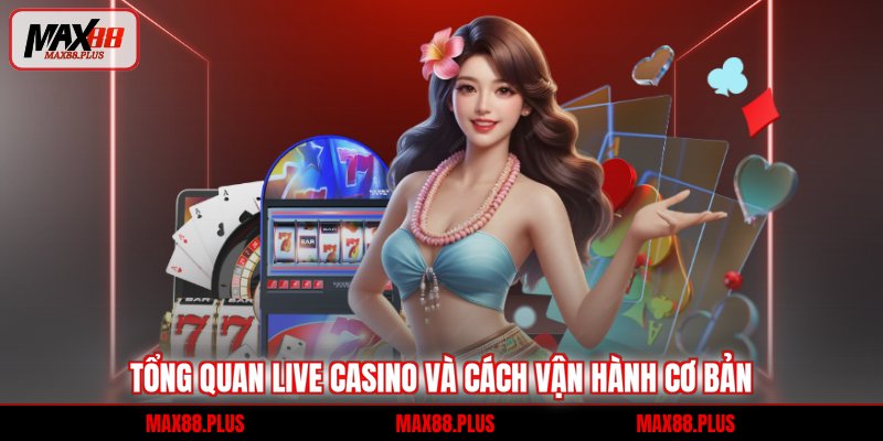 Tổng quan Live Casino và cách vận hành cơ bản